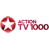 ТВ 1000 Action